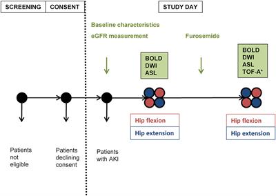 Hip Position Acutely Affects Oxygenation and Perfusion of Kidney Grafts as Measured by Functional Magnetic Resonance Imaging Methods—The Bent Knee Study